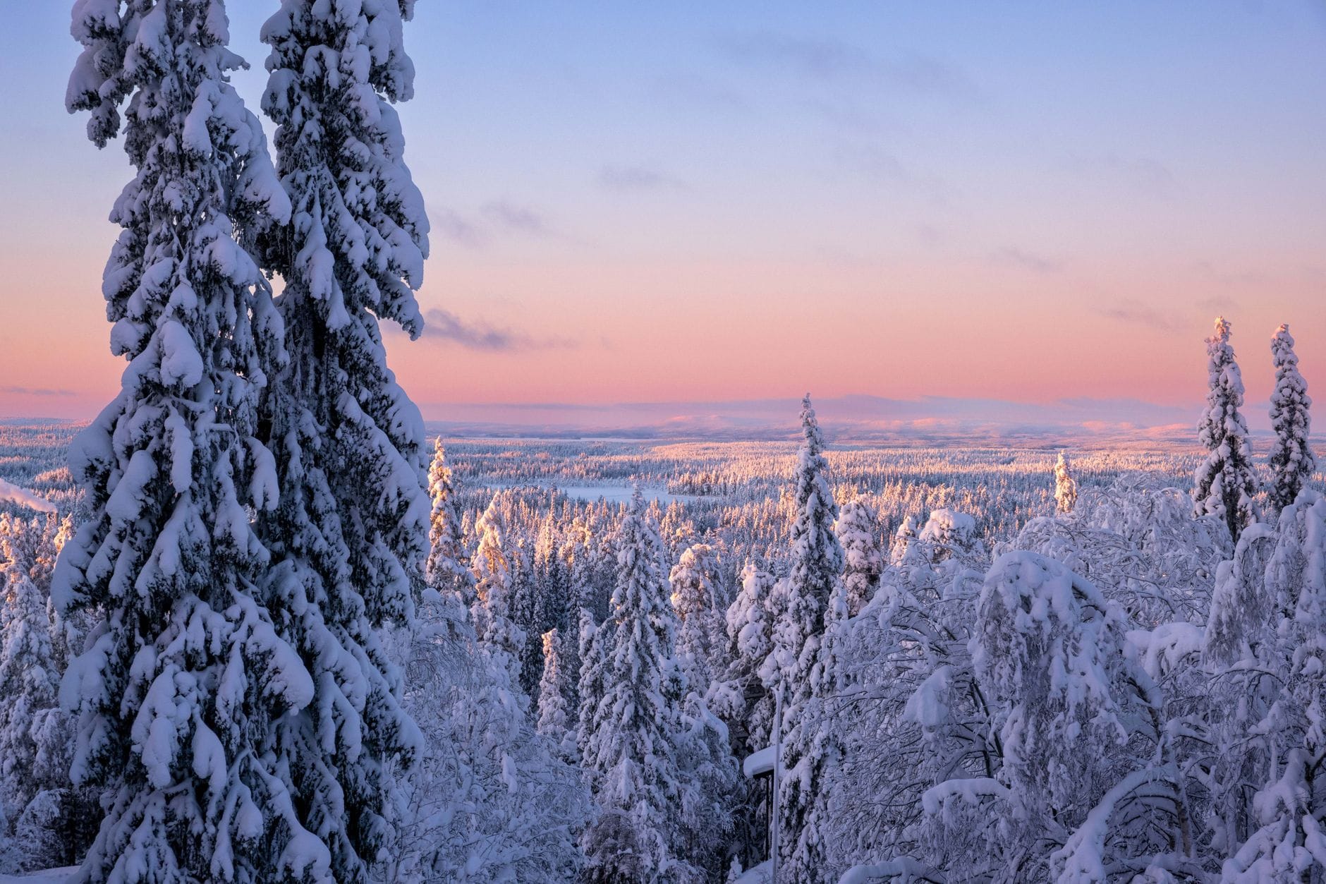 Zimowy zachód słońca nad ośnieżonym lasem w Ruka w Finlandii