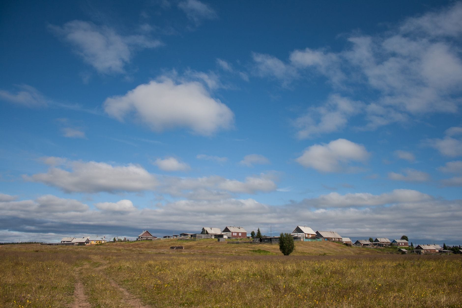 Wiejska panorama wsi w regionie Archangielska z domami i polami